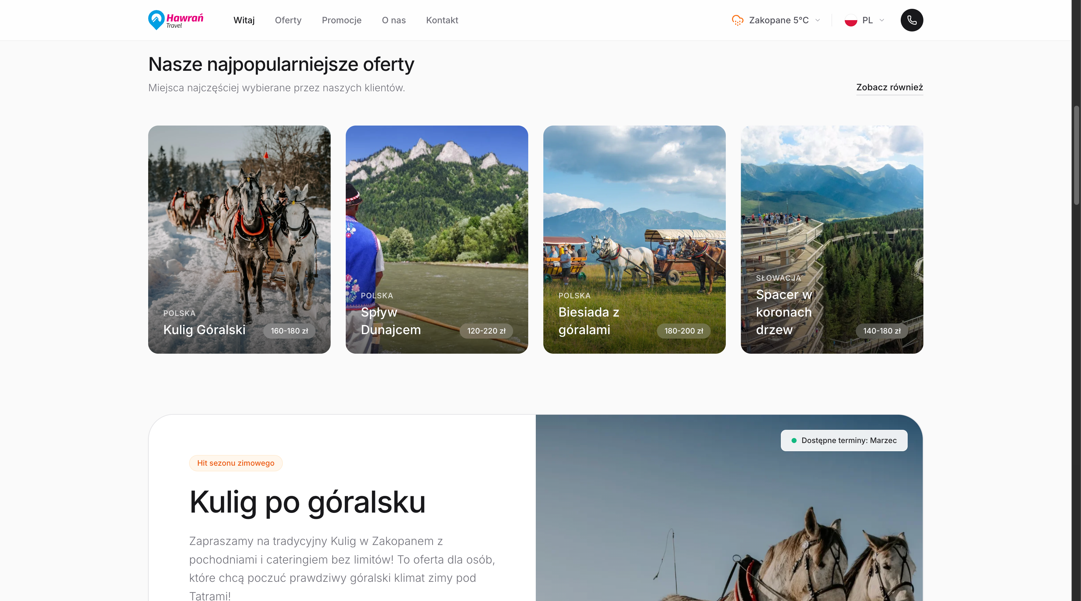 Podgląd serwisu rezerwacyjnego